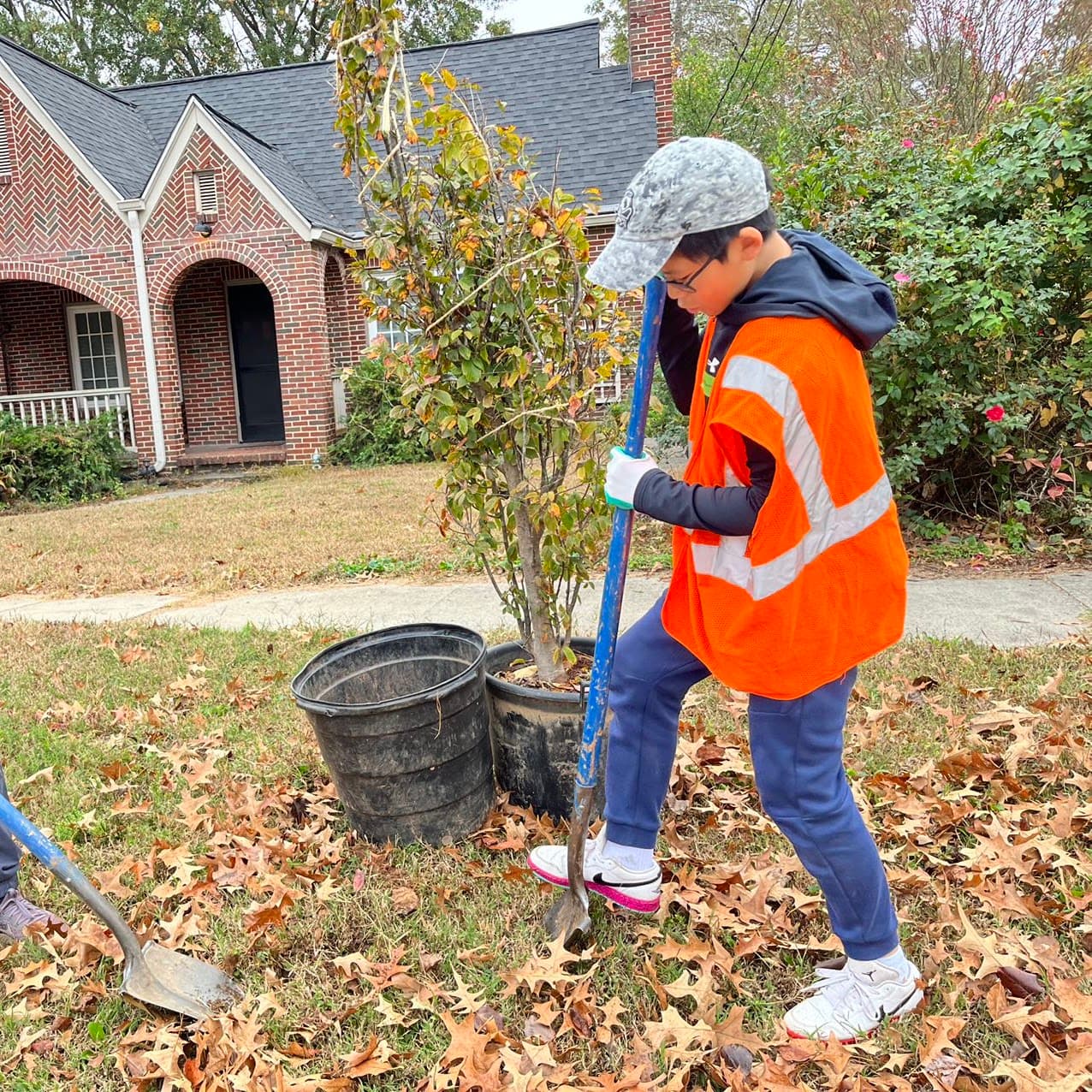 A student volunteer planting a young tree while wearing a safety vest